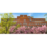 Profile photo for MedStar Health: Neuroscience at MedStar Georgetown University Hospital