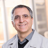 Dr. Mansour  Razminia