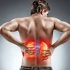 Weight Loss Reduces Kidney Disease Risk in Diabetics