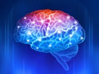 Healthy Brain Activity Identified in Brain Injury Patients