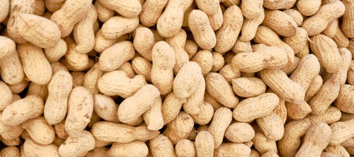 Early Exposure to Peanuts Could Curb Allergy Risk