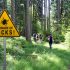 9 Ways to Protect Against Lyme Disease and Not Be Paranoid