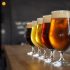 5 Reasons Why Beer is Good For You and Which Brands Are the Best