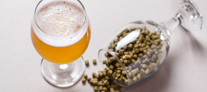 Can Hoppy Beer give you ‘Man Boobs’?