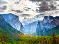 Child Infected with the Plague After Trip to Yosemite National Park