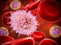 How Leukemia Cells Can Kill Each Other