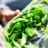 Eating Bagged Spinach? Read Here About the Salmonella Outbreak in Dole Bagged Salad