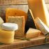 Study Reveals Cheese is as Addictive as Drugs