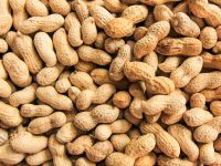 Allergic to Peanuts? There May Soon Be a Patch for That