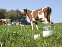 How to Protect Yourself Against Raw Milk