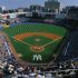 New York Joins the Growing Number of Cities to Ban Smokeless Tobacco in its Ball Parks