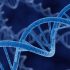 What is Epigenetics and How Does it Affect Your Health?