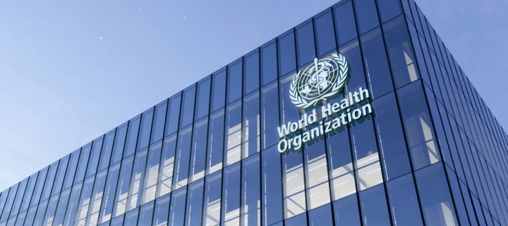 WHO Says the Zika Virus is Spreading and May Reach Europe by This Summer
