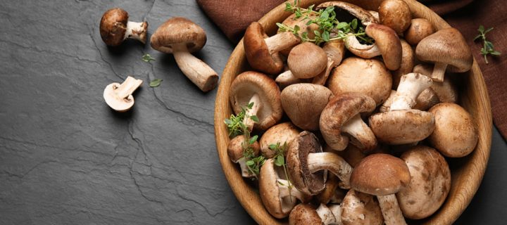 Are Magic Mushrooms the Key to Curing Depression?