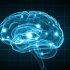 This is How You Can Help Your Brain Age