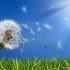 Here’s Why You Should Start Treating Your Seasonal Allergies Before They Strike, Experts Say