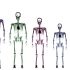 Why Americans Are Becoming Shorter Than Other Nationalities