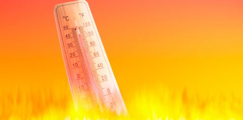 5 Tips on Staying Safe in the Extreme Heat