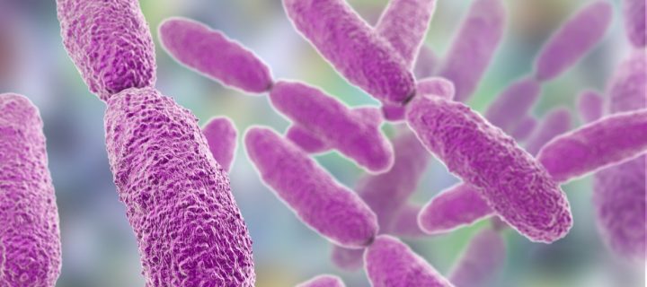 Bacteria with Superbug Genes Discovered in the U.S.