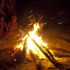 Tuberculosis Comes From the Discovery of Fire: Study