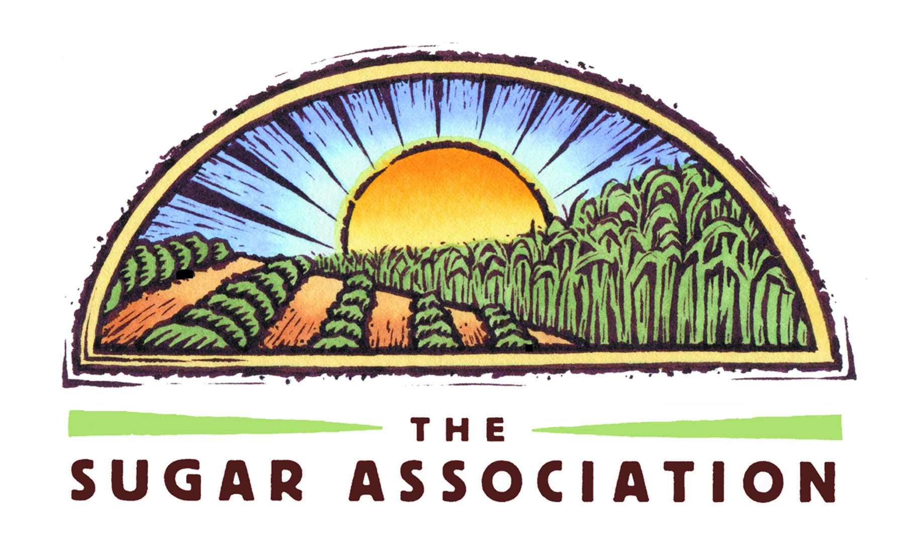 Image result for 1960 sugar association