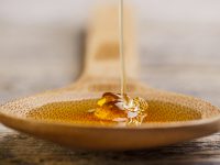 Manuka honey could combat hospital-acquired infections