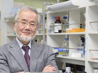 Scientist’s Cell Recycling Work Earns 2016 Nobel Prize in Medicine