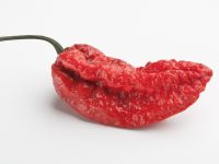 A Fiery ‘Ghost Pepper’ Burned Through This Man’s Throat
