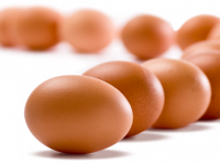 The FDA Has Finished Investigating a Multistate Outbreak of Salmonella Linked to Eggs From Gravel Ridge Farms