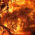 This Canadian Man Was Inspired to Lose Hundreds of Pounds When Fleeing a Life-Threatening Wildfire
