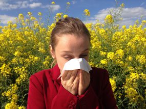 Hay fever can lower grades in students taking exams.