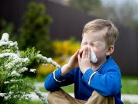 Having Hay Fever Can Lower Your Grades: Study