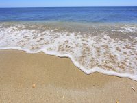 How to Read Beach Swimming Flags