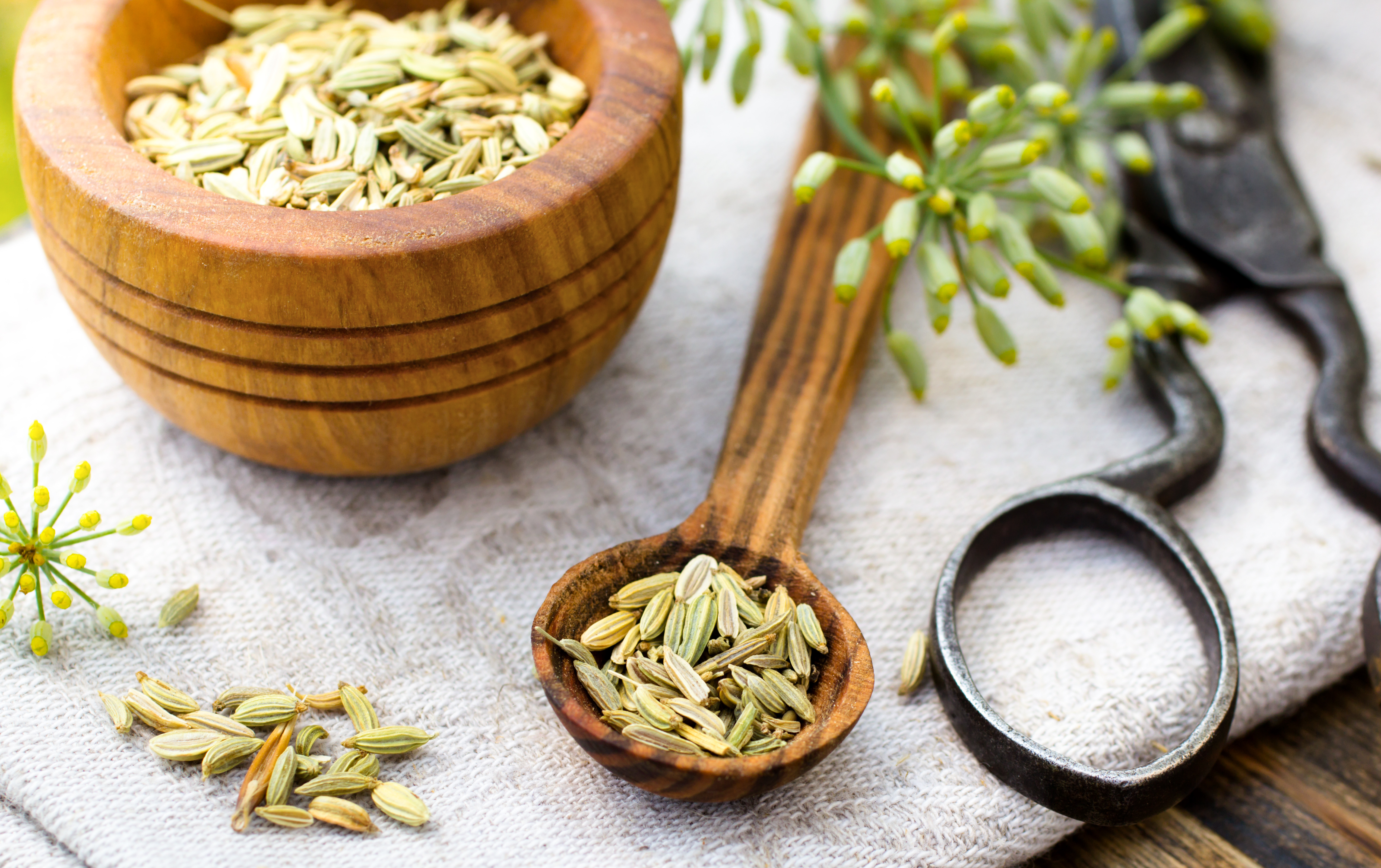 Fennel can help ease the symptoms of menopause from hot flashes to insomnia.