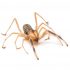 Man Suffers Huge Bruises in Arizona Following a Suspected Spider Bite