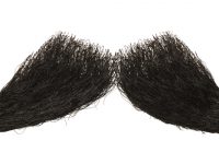 Which Mustache Should Winnik Grow?