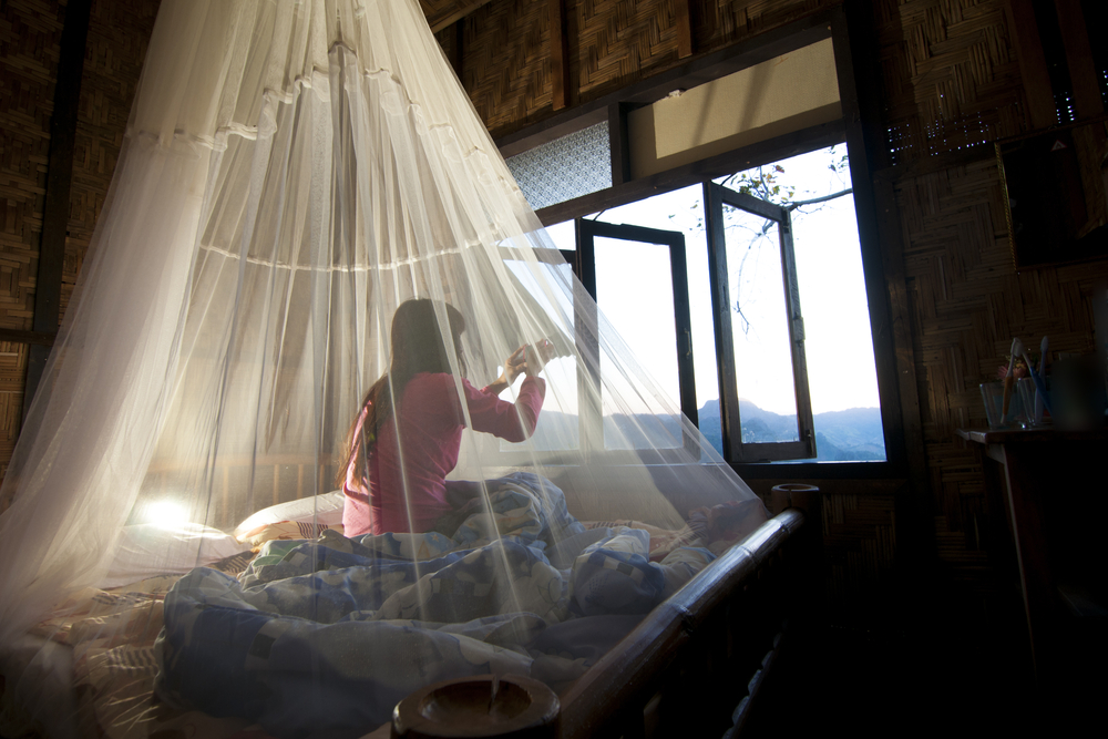 Using a bed net can protect you against mosquitoes and illnesses they carry. 