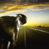 Men, Cycling Isn’t Harming Your Sexual Health