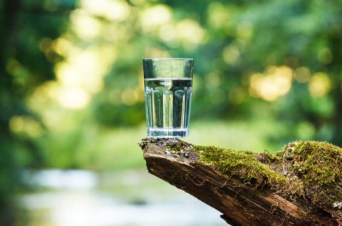 Truth About Raw Water, The Latest Health Fad of the LA’s Rich