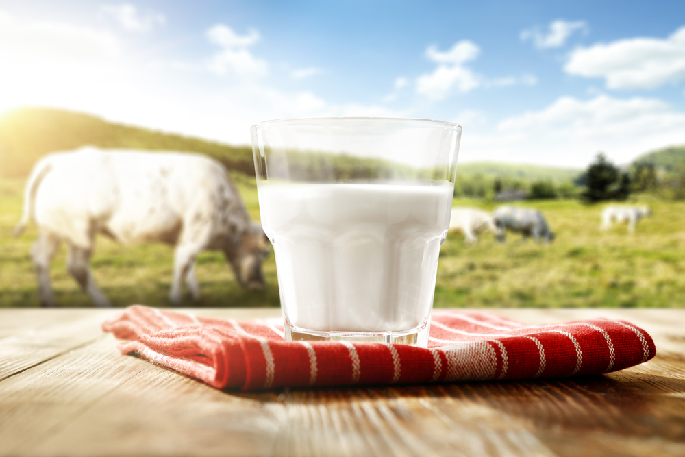 cows-milk-study