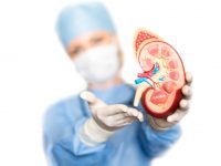 It’s World Kidney Day-Here’s What You Need to Know