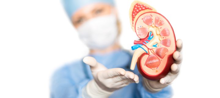 It’s World Kidney Day-Here’s What You Need to Know