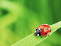 Check Out These 3 Seasonal Allergies You Might Not Know You Have