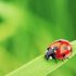 Check Out These 3 Seasonal Allergies You Might Not Know You Have