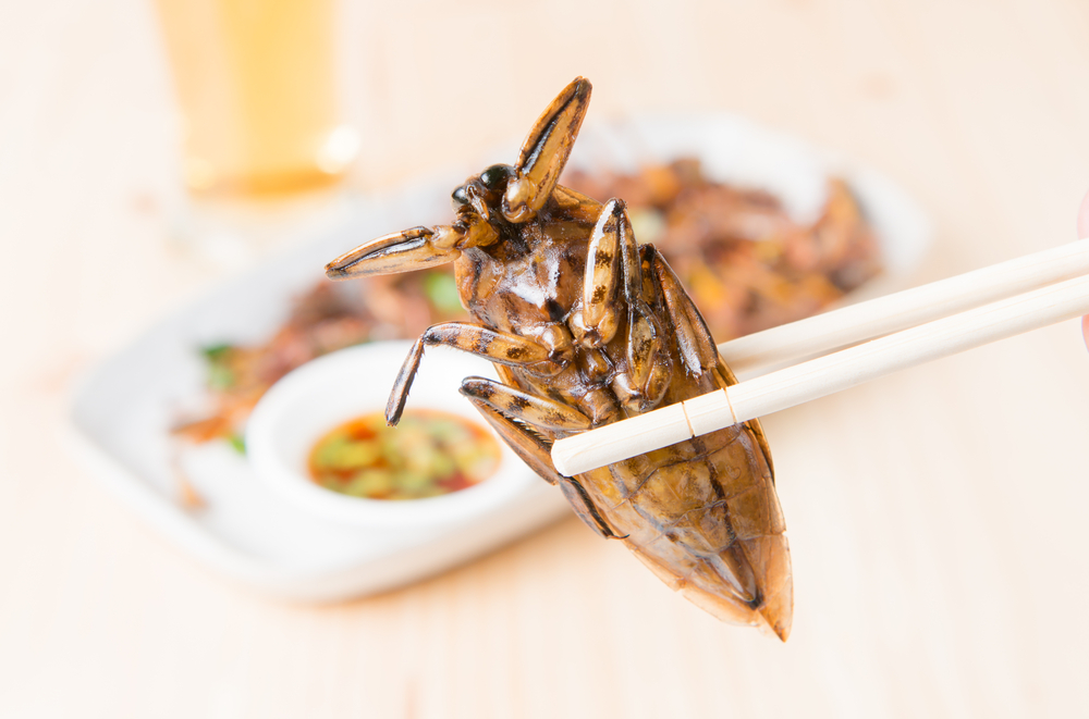 why-you-should-eat-bugs-health-study
