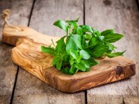 Why is Basil is So Good For You?
