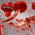 5 (Or More) Things You Didn’t Know About Sickle Cell Anemia