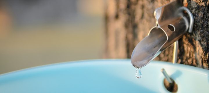 Is ‘Maple Water’ the Best Post-Workout Drink?
