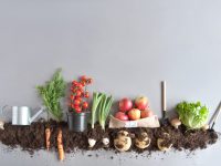 Can Organic Food Curb Cancer?