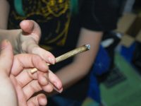 Just a Couple of Marijuana Joints Can Affect Teens’ Brain Development